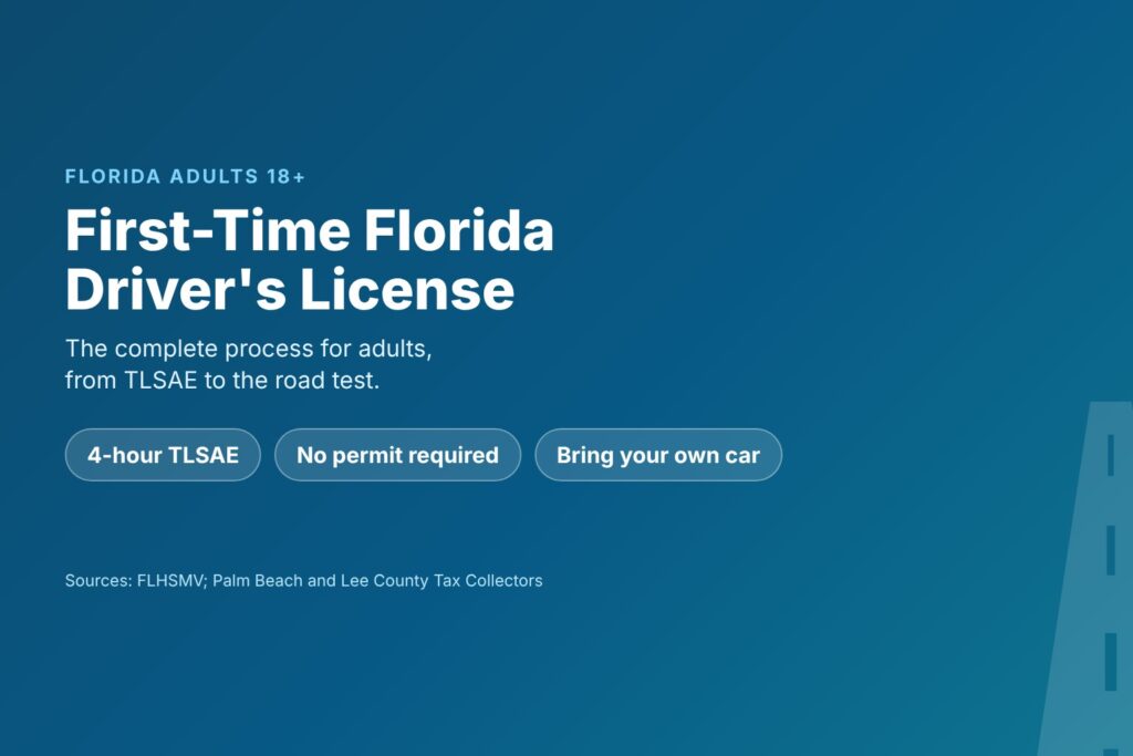 Blog Articles 6 First-time Florida driver's license for adults 18 and older