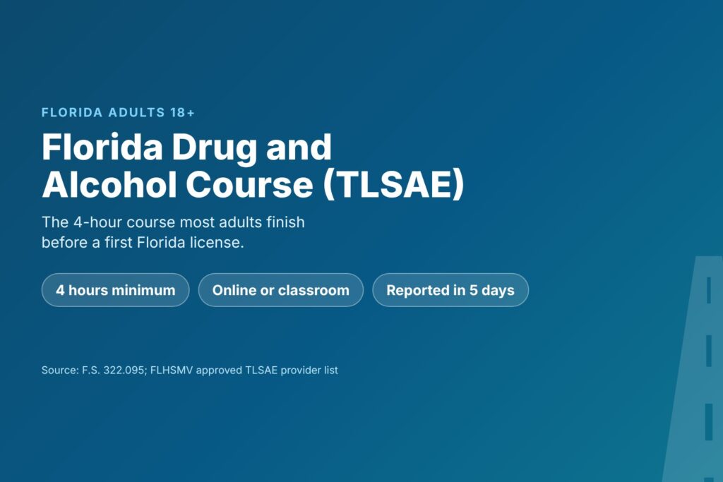 Blog Articles 8 Florida drug and alcohol course (TLSAE) guide for adults 18 and older