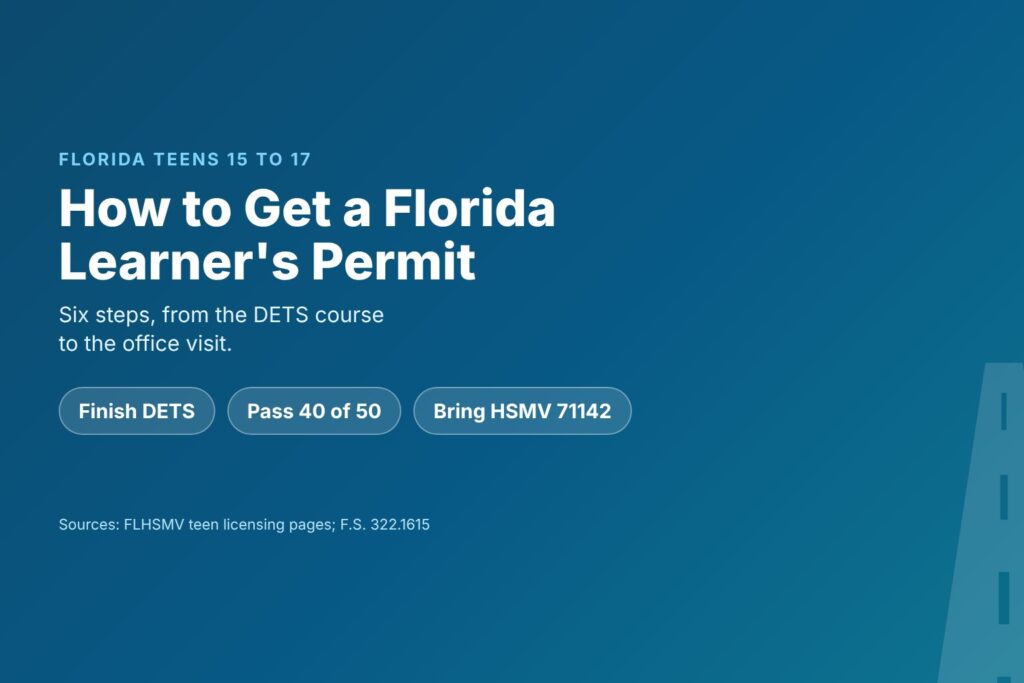Blog Articles 8 How to get a Florida learner's permit in six steps