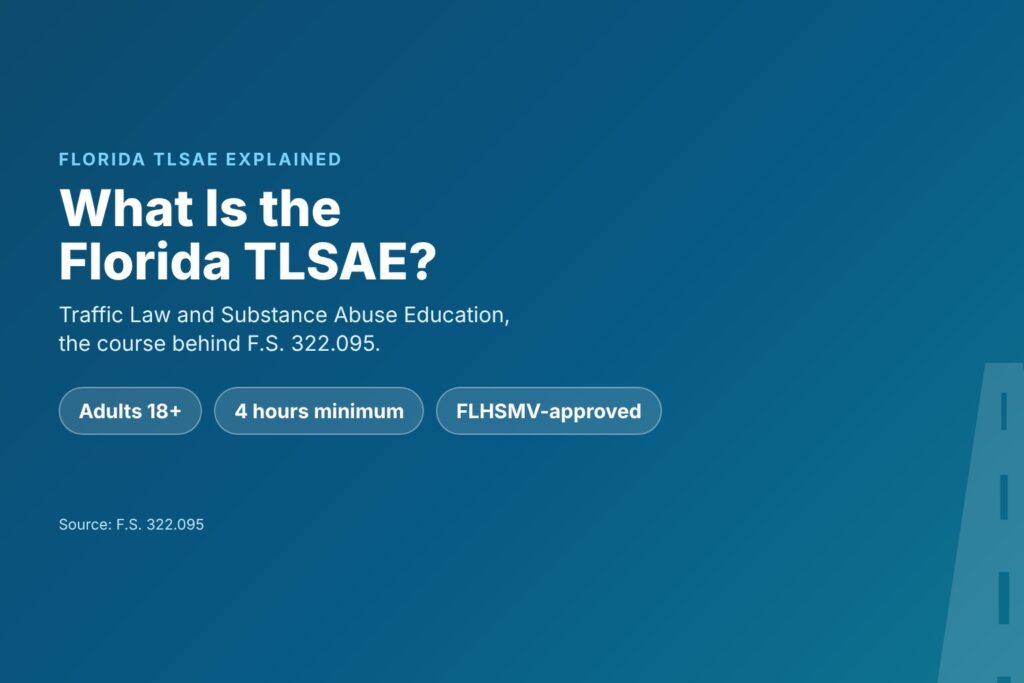 Blog Articles 5 What the Florida TLSAE is: Traffic Law and Substance Abuse Education explained